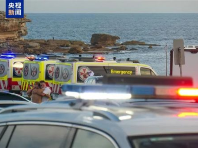 “澳大利亚海滩枪击悲剧：16死震惊世界”